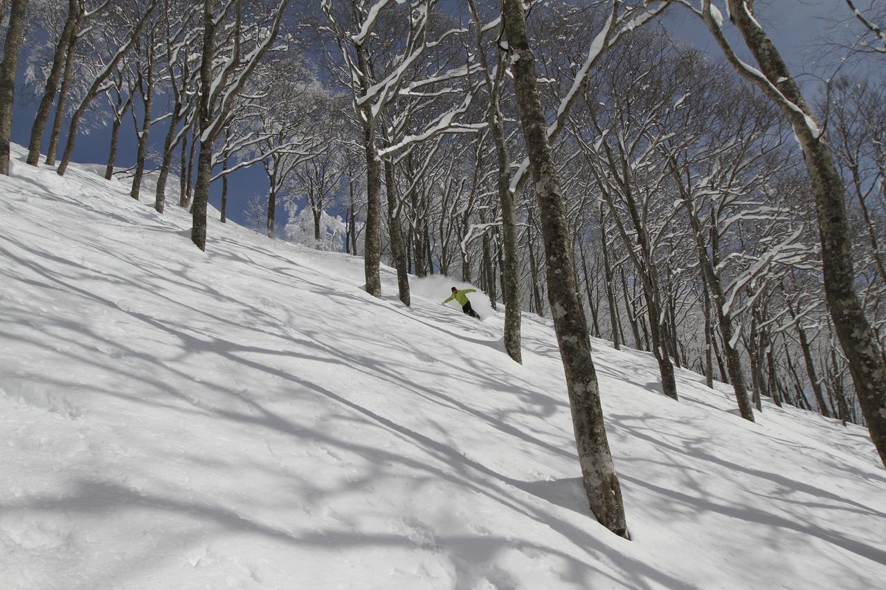 Powder Temple Hakuba Exterior foto
